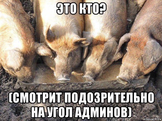 это кто? (смотрит подозрительно на угол админов), Мем Лохторат