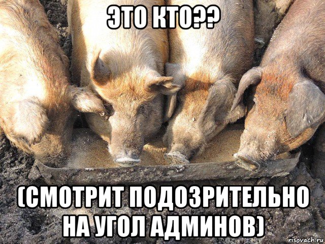 это кто?? (смотрит подозрительно на угол админов), Мем Лохторат