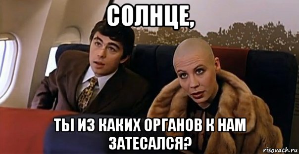 солнце, ты из каких органов к нам затесался?, Мем Мальчик водочки нам принеси