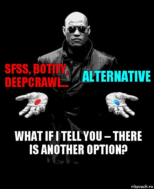 SFSS, Botify, DeepCrawl... Alternative What if I tell you – there is another option?