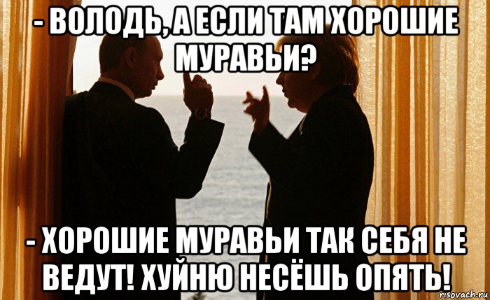 - володь, а если там хорошие муравьи? - хорошие муравьи так себя не ведут! хуйню несёшь опять!