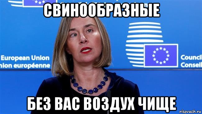 свинообразные без вас воздух чище