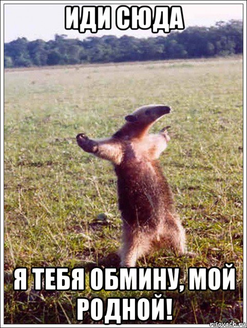иди сюда я тебя обмину, мой родной!