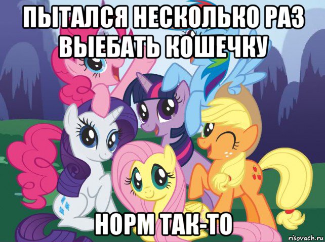 пытался несколько раз выебать кошечку норм так-то, Мем My little pony