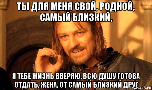 ты для меня свой, родной, самый близкий, я тебе жизнь вверяю, всю душу готова отдать, жена, от самый близкий друг, Мем Нельзя просто так взять и (Боромир мем)