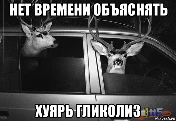 нет времени объяснять хуярь гликолиз