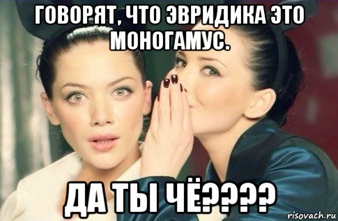 говорят, что эвридика это моногамус. да ты чё????, Мем  Он