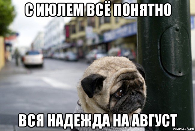с июлем всё понятно вся надежда на август