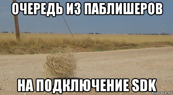 очередь из паблишеров на подключение sdk, Мем перекати-поле одиночество