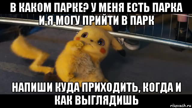в каком парке? у меня есть парка и я могу прийти в парк напиши куда приходить, когда и как выглядишь