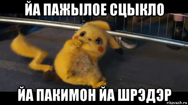 йа пажылое сцыкло йа пакимон йа шрэдэр