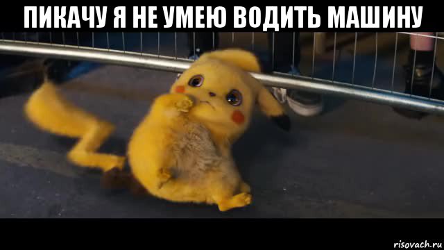 пикачу я не умею водить машину 