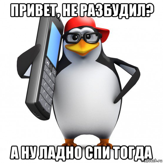 привет, не разбудил? а ну ладно спи тогда, Мем   Пингвин звонит