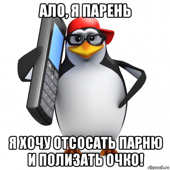 ало, я парень я хочу отсосать парню и полизать очко!, Мем   Пингвин звонит