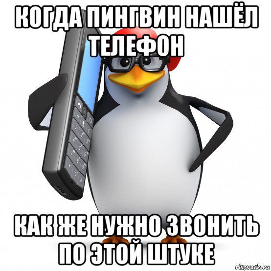 когда пингвин нашёл телефон как же нужно звонить по этой штуке, Мем   Пингвин звонит