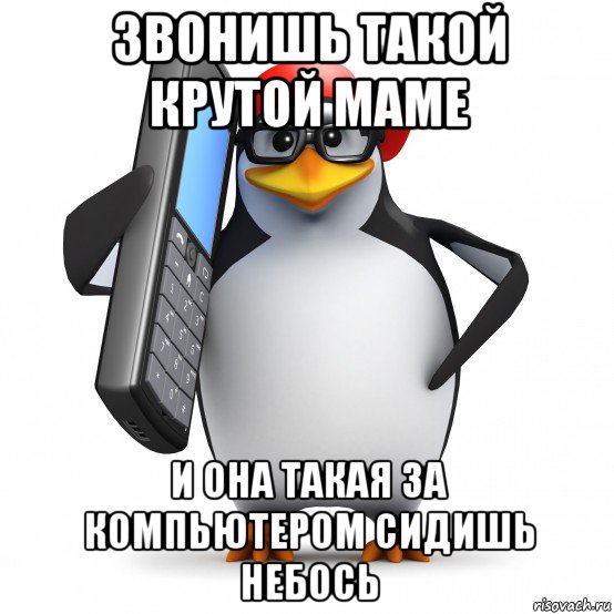 звонишь такой крутой маме и она такая за компьютером сидишь небось, Мем   Пингвин звонит