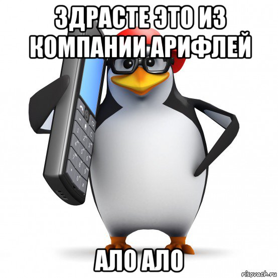 здрасте это из компании арифлей ало ало, Мем   Пингвин звонит