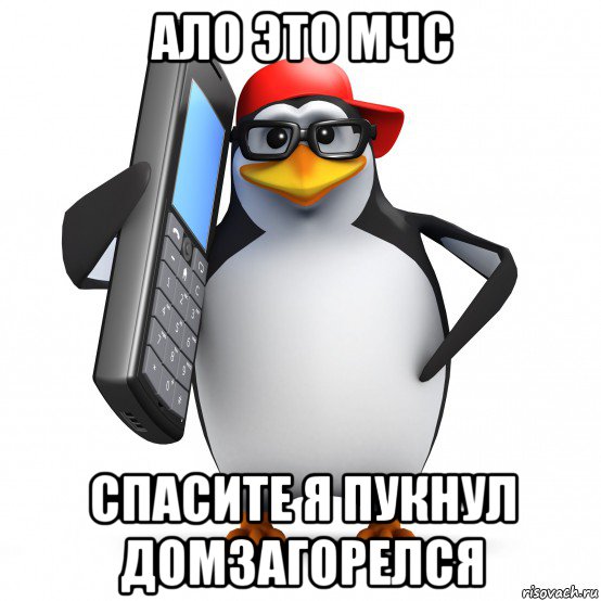 ало это мчс спасите я пукнул домзагорелся, Мем   Пингвин звонит