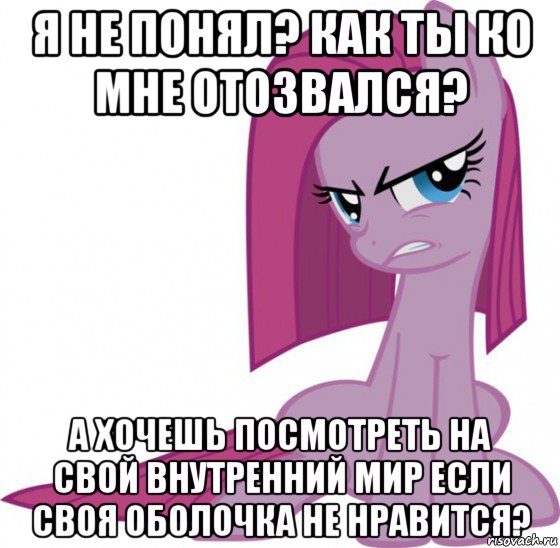я не понял? как ты ко мне отозвался? а хочешь посмотреть на свой внутренний мир если своя оболочка не нравится?, Мем Пинкамина-пай