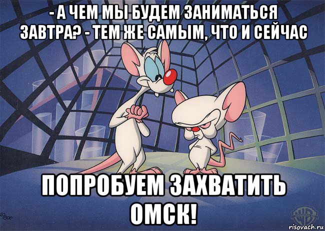 - а чем мы будем заниматься завтра? - тем же самым, что и сейчас попробуем захватить омск!, Мем ПИНКИ И БРЕЙН