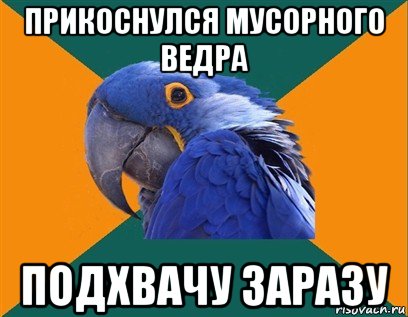 прикоснулся мусорного ведра подхвачу заразу, Мем Попугай параноик