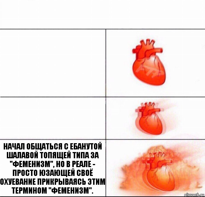   НАЧАЛ ОБЩАТЬСЯ С ЕБАНУТОЙ ШАЛАВОЙ ТОПЯЩЕЙ ТИПА ЗА "ФЕМЕНИЗМ", НО В РЕАЛЕ - ПРОСТО ЮЗАЮЩЕЙ СВОЁ ОХУЕВАНИЕ ПРИКРЫВАЯСЬ ЭТИМ ТЕРМИНОМ "ФЕМЕНИЗМ"., Комикс  Расширяюшее сердце