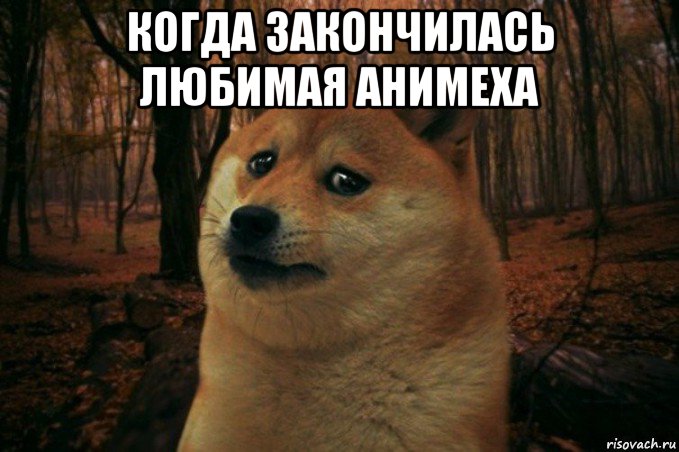 когда закончилась любимая анимеха , Мем SAD DOGE