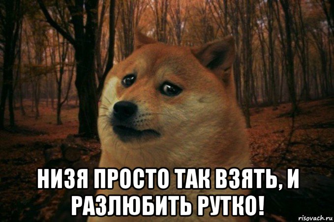  низя просто так взять, и разлюбить рутко!