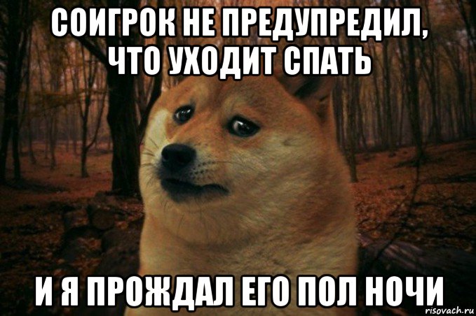 соигрок не предупредил, что уходит спать и я прождал его пол ночи, Мем SAD DOGE