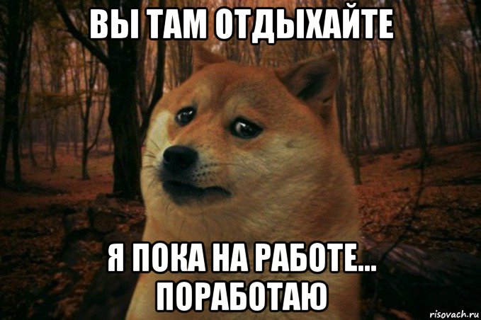 вы там отдыхайте я пока на работе... поработаю, Мем SAD DOGE