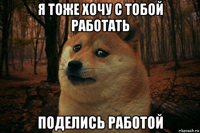 я тоже хочу с тобой работать поделись работой, Мем SAD DOGE