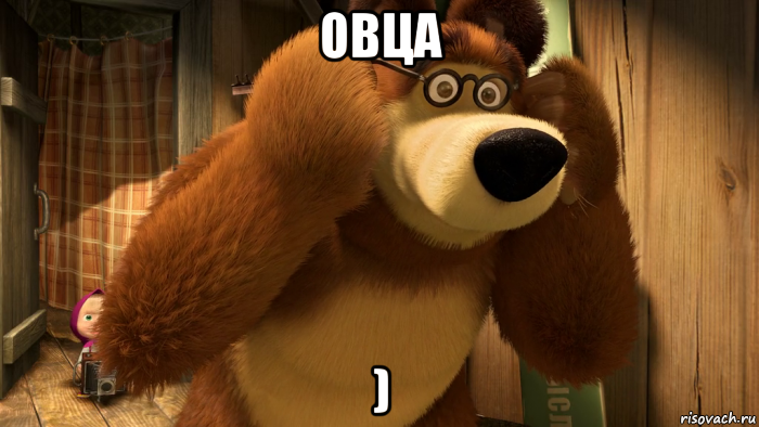 овца )