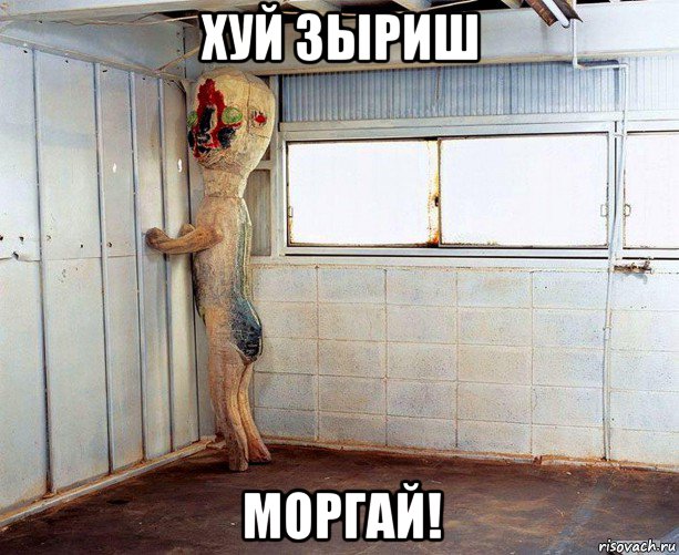 хуй зыриш моргай!