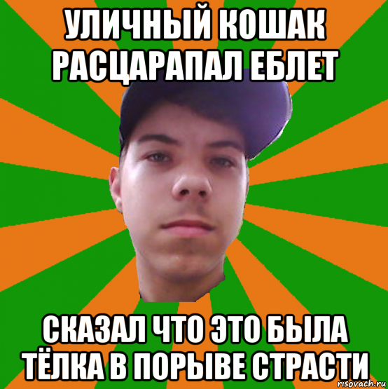 уличный кошак расцарапал еблет сказал что это была тёлка в порыве страсти
