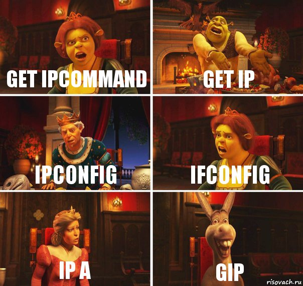 get ipcommand get ip ipconfig ifconfig ip a gip, Комикс  Шрек Фиона Гарольд Осел