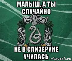 малыш, а ты случайно не в слизерине училась, Мем Слизерин