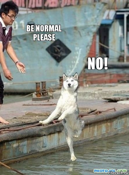 Be normal please No!, Комикс   собака я должен танцевать