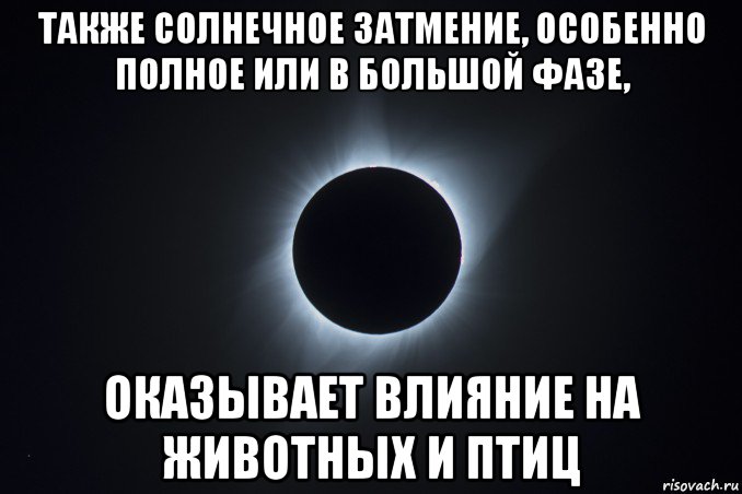 также солнечное затмение, особенно полное или в большой фазе, оказывает влияние на животных и птиц
