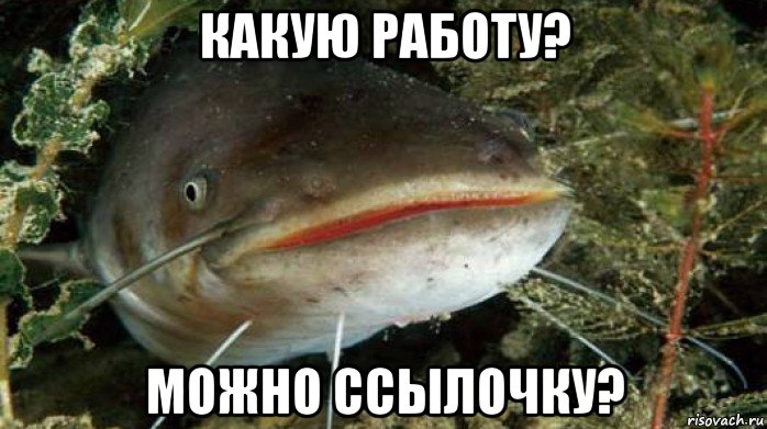 какую работу? можно ссылочку?