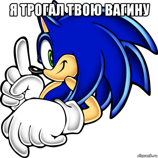 я трогал твою вагину , Мем Sonic