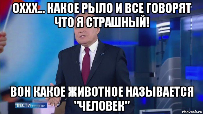 оххх... какое рыло и все говорят что я страшный! вон какое животное называется "человек"