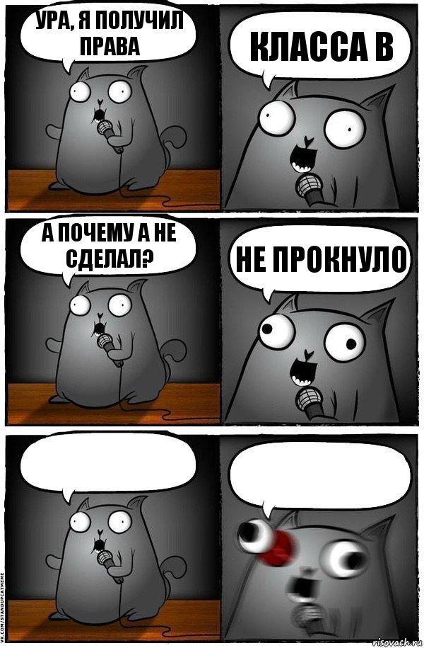 ура, я получил права класса B а почему А не сделал? не прокнуло  , Комикс  Стендап-кот