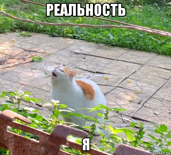 реальность я