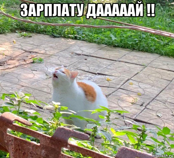 зарплату дааааай !! 