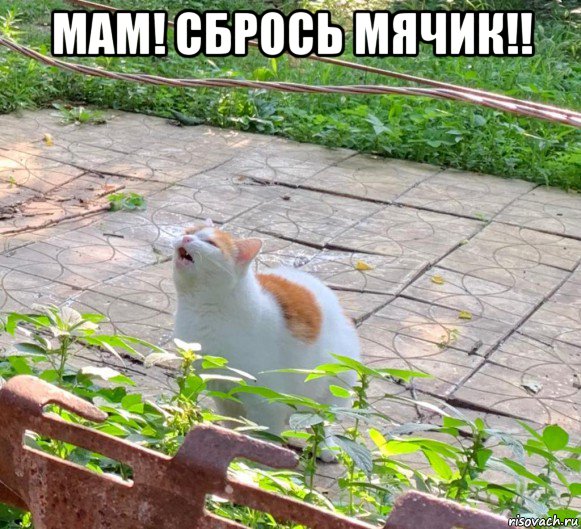 мам! сбрось мячик!! 