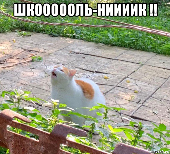 шкоооооль-ниииик !! 