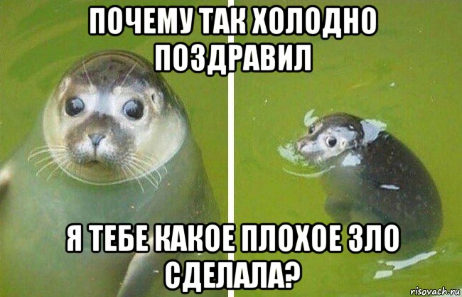 почему так холодно поздравил я тебе какое плохое зло сделала?, Мем Тюлень