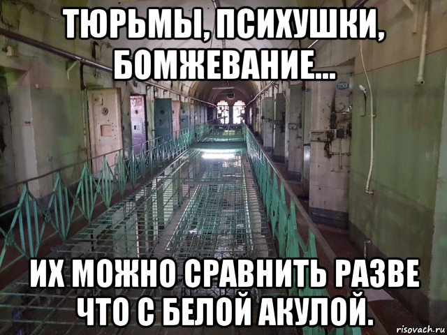 10 год тюрьмы мем