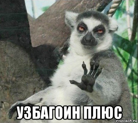 узбагоин плюс, Мем Все будет збагойно