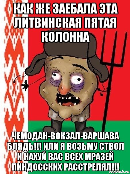 как же заебала эта литвинская пятая колонна чемодан-вокзал-варшава блядь!!! или я возьму ствол и нахуй вас всех мразей пиндосских расстрелял!!!